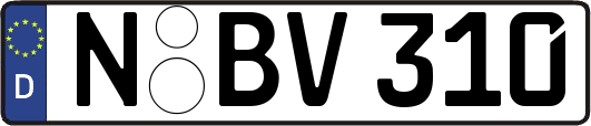 N-BV310