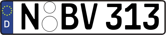 N-BV313