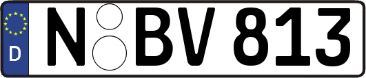 N-BV813