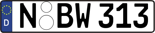 N-BW313
