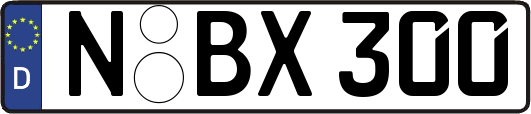 N-BX300