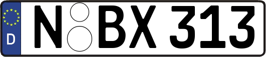 N-BX313