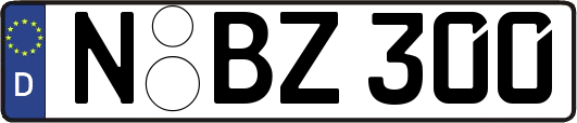 N-BZ300