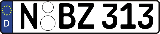 N-BZ313
