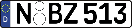 N-BZ513