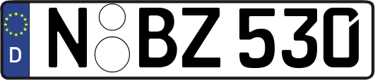 N-BZ530