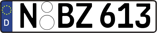 N-BZ613