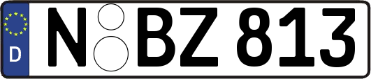 N-BZ813