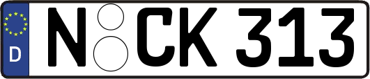 N-CK313