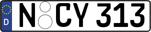 N-CY313