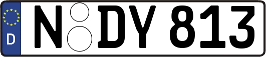 N-DY813