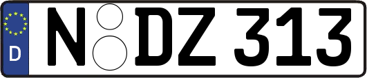 N-DZ313