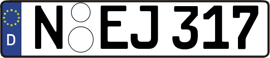 N-EJ317