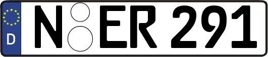 N-ER291