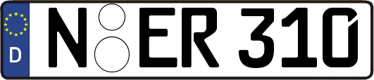 N-ER310