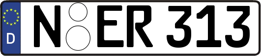 N-ER313