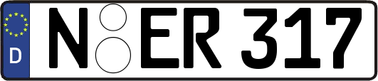 N-ER317