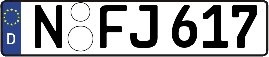 N-FJ617