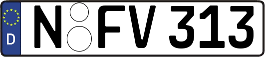 N-FV313