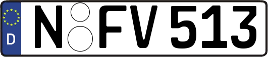 N-FV513