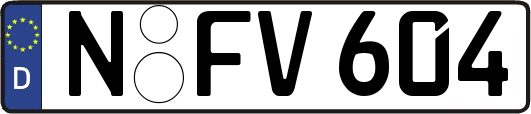 N-FV604