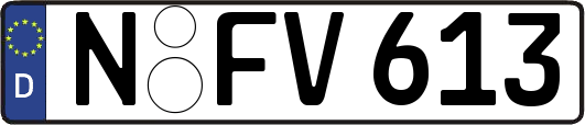 N-FV613