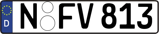 N-FV813