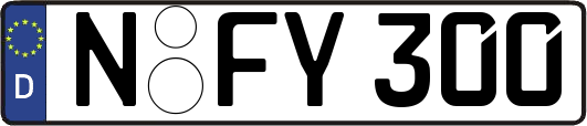 N-FY300