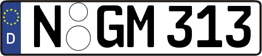 N-GM313