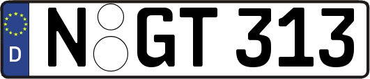 N-GT313