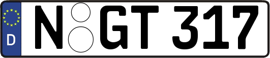 N-GT317