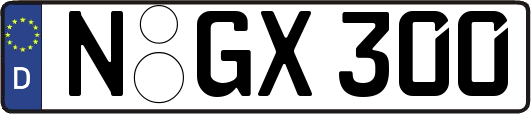 N-GX300