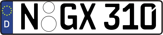 N-GX310