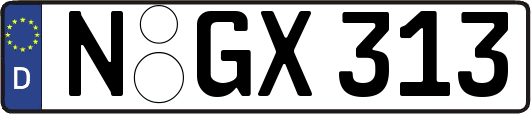 N-GX313