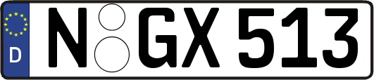 N-GX513