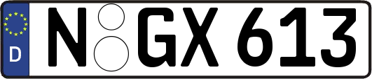 N-GX613