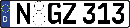 N-GZ313