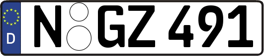 N-GZ491