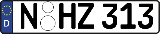 N-HZ313