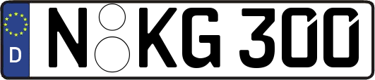 N-KG300