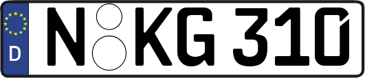 N-KG310