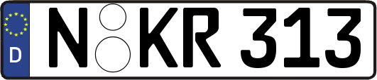 N-KR313