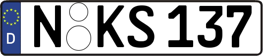 N-KS137