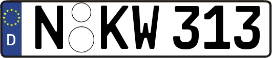 N-KW313
