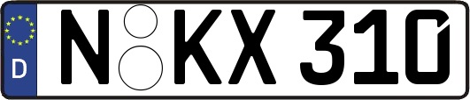 N-KX310