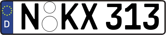 N-KX313
