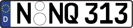 N-NQ313