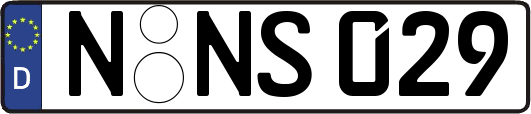 N-NS029