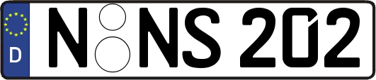 N-NS202