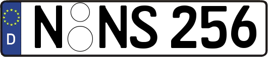 N-NS256